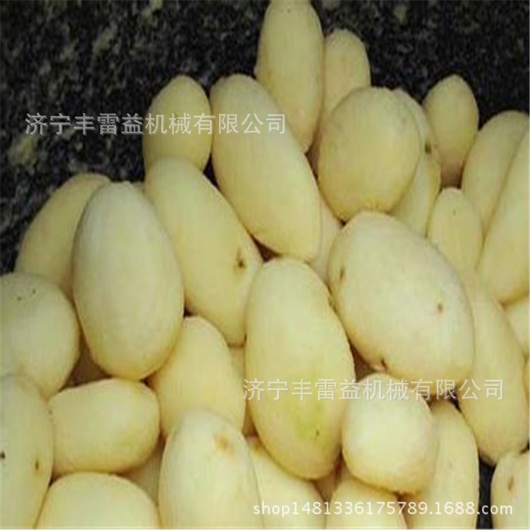 芋頭脫皮機(jī) 蔬菜去皮機(jī)洋蔥價(jià)格 馬鈴薯脫皮機(jī) 現(xiàn)貨 紅薯山芋