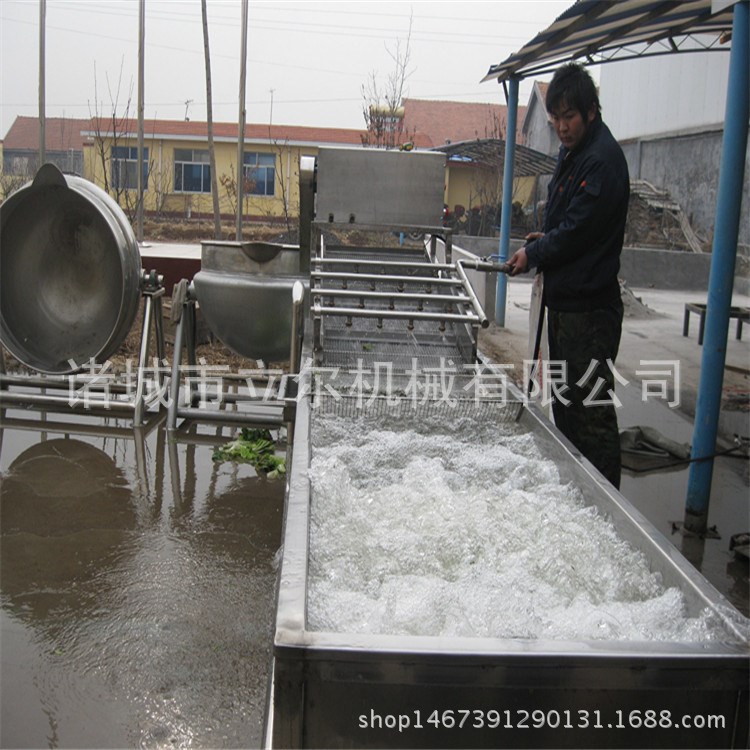 水果罐头水果清洗机 黄桃草莓清洗机 洗水果的机器水果深加工机器