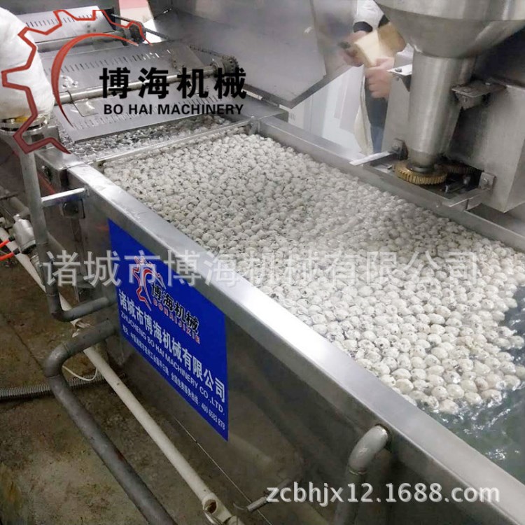 廠家直供大型肉丸生產(chǎn)線 魚丸、牛肉丸、蔬菜丸子成套流水線設(shè)備