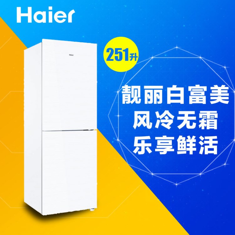 Haier/海爾 BCD-251WDGW 251升變頻風機無霜兩門節能冰箱一級能效
