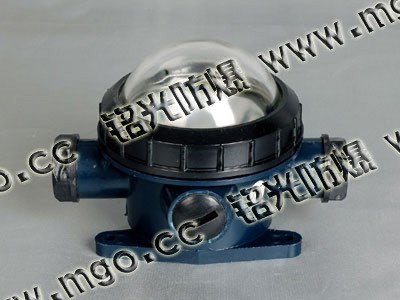 CCD3-2白熾燈艙頂燈24V應急燈防潮防水燈艙室燈船用燈具