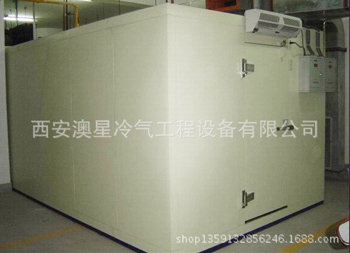 西安 陜北 陜南 甘肅 內蒙 冷庫 保鮮庫 水果蔬菜庫