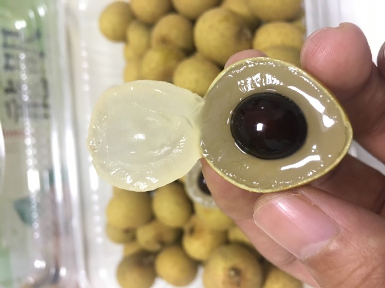 【泰國龍眼4斤】泰國龍眼桂圓鮮貨新鮮桂圓