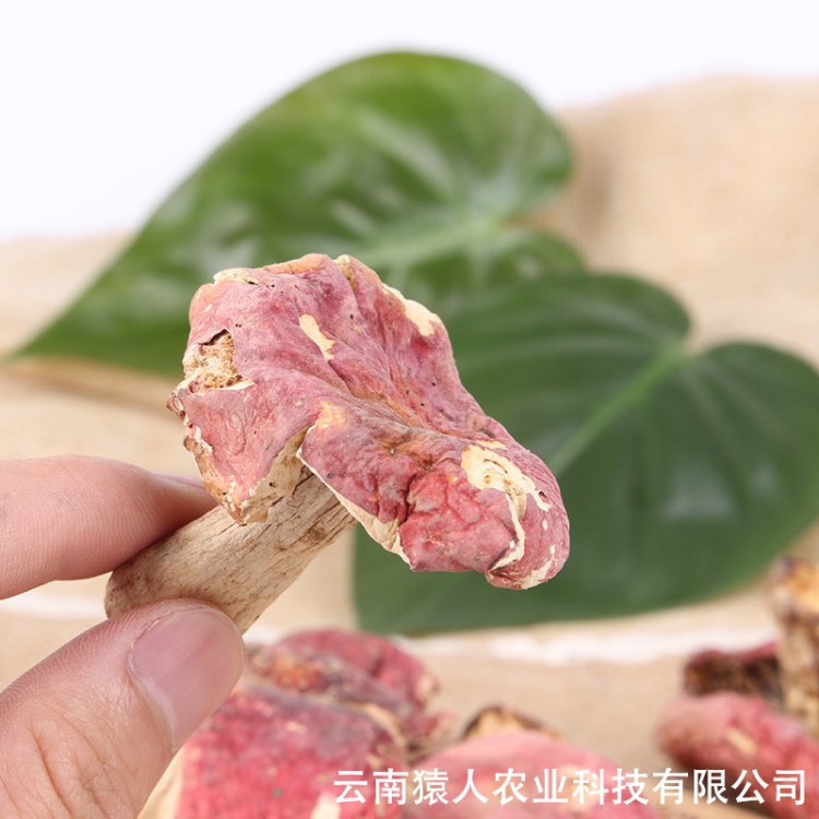 云南野生菌 2017新品大紅菇干貨 野生食用菌紅菇批發(fā)100g起批包郵