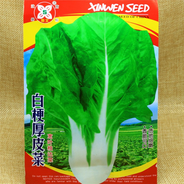 白梗厚皮菜 根達(dá)菜種子 莙荙菜 家庭陽臺 蔬菜種子 根達(dá)菜