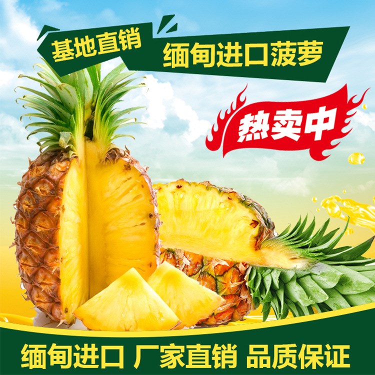 緬甸 菠蘿 10斤/箱 新鮮水果鳳梨 香甜爽脆熱帶水果批發