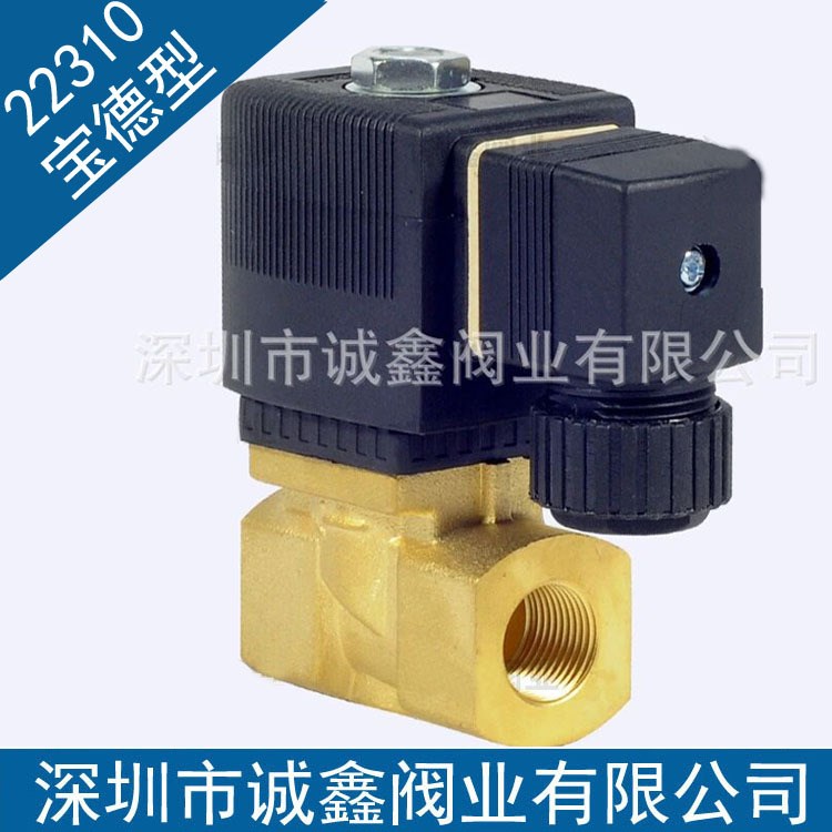 4分室外防水电磁阀水阀 2分 6213-04 SY22310-15 1寸220V 24V 12V