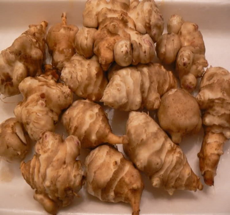 &lt;工藝&gt;菊芋粉菊糖提取物加工生產線，先進洋姜菊芋加工設備