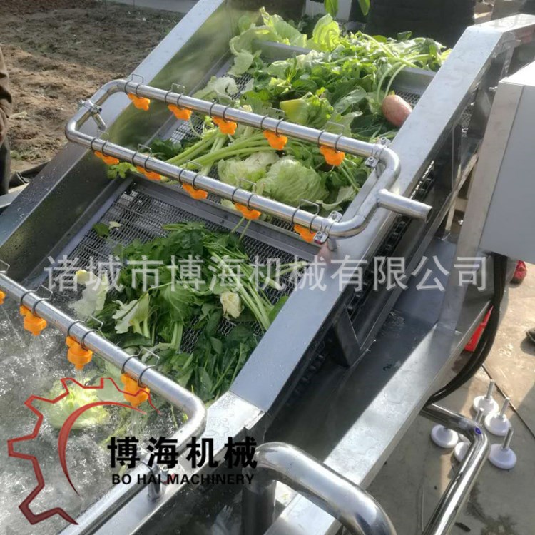 浙江海苔清洗機 洗果機 果蔬氣泡蔬菜清洗機廠家直供