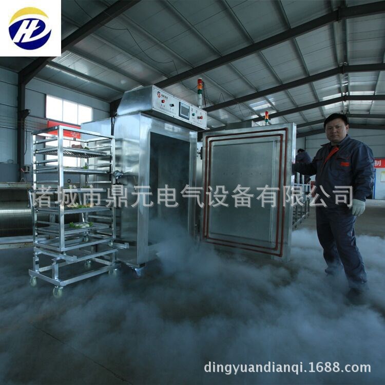 商用小型速凍機(jī) 海鮮速凍機(jī) 大蝦速凍機(jī) 扇貝鮑魚速凍機(jī) 諸城鼎元