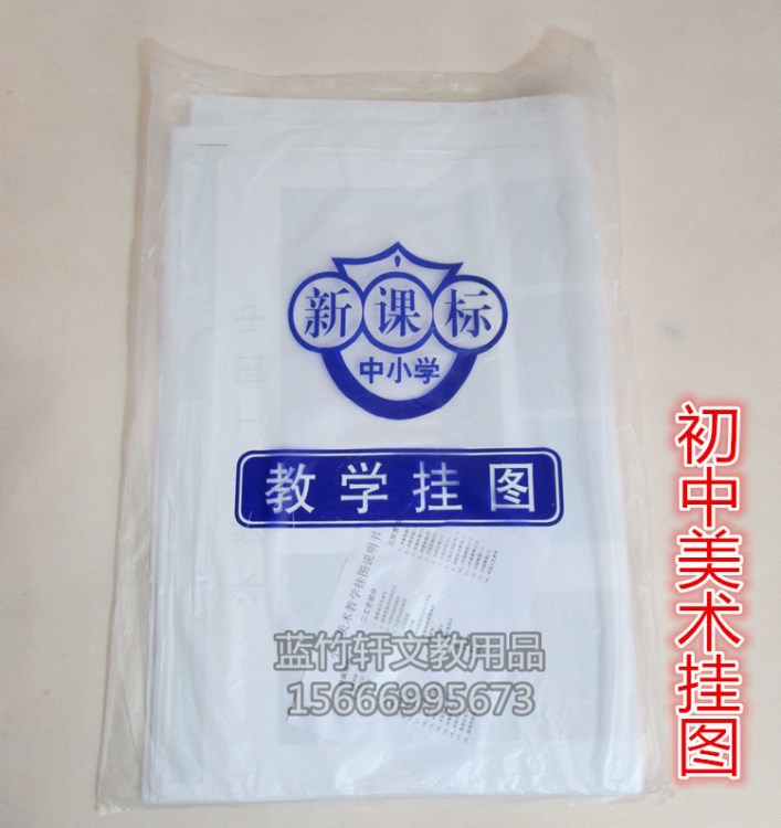 教育配送 美術(shù)用品 小學(xué)【初中】美術(shù)教學(xué)掛圖 欣賞圖庫(kù)