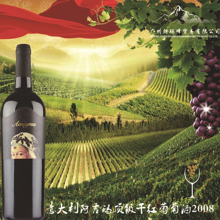 意大利阿吉瑪干紅葡萄酒2008 T-0140010