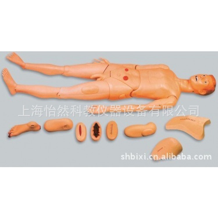 全功能護(hù)理人模型,男性YR-H135醫(yī)學(xué)模型