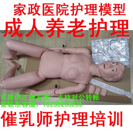 女性护理人模型 成年老年人养老护理培训 月嫂催乳师教具护理模型