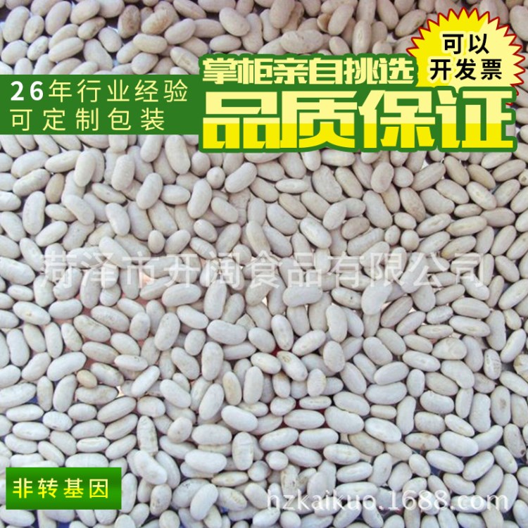 薦 西班牙白蕓豆 五谷雜糧豆類食品蕓豆 食用白蕓豆批發(fā)