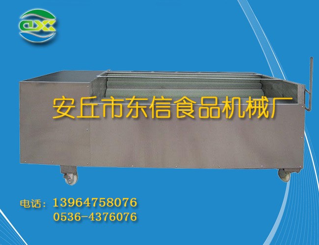 土豆清洗去皮磨皮機土豆加工設備毛刷去皮清洗機