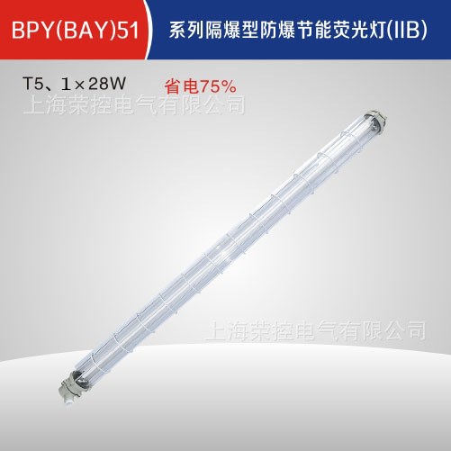 防爆隔爆型節(jié)能熒光燈 BAY51-1x28W T5燈管 直銷（可帶應(yīng)急燈