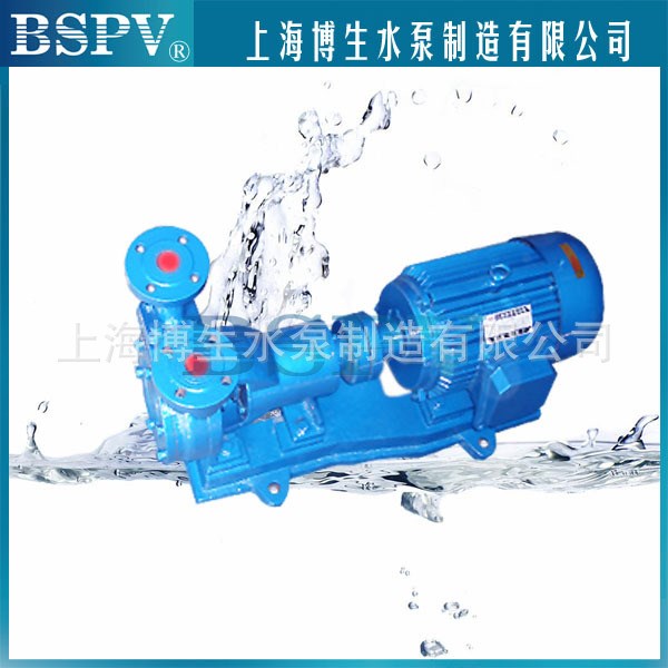 博生牌W型單級直接連旋渦泵