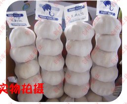 大蒜標(biāo)簽網(wǎng)袋250G