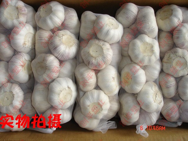 大蒜標(biāo)簽網(wǎng)袋500g  網(wǎng)袋直銷