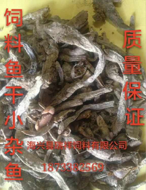 常年供應 飼料級小雜魚 魚干 脫脂魚干 畜禽用魚干