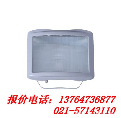 【NSE9720】【NSE9720-J35W】防眩應(yīng)急通路燈，上海廠家直銷