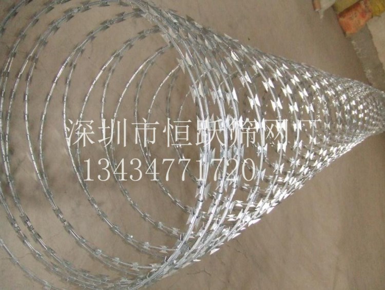 深圳高鐵沿線刀片刺繩防護(hù)網(wǎng)-高鐵刀片刺繩防護(hù)-高鐵沿線刀片刺繩
