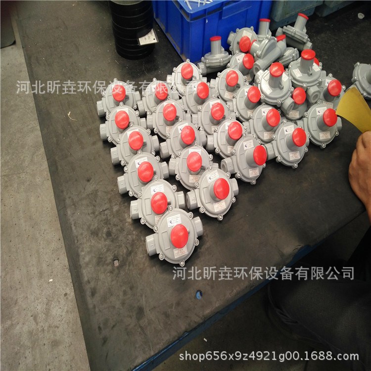燃?xì)庹{(diào)壓器_燃?xì)庹{(diào)壓器廠家_燃?xì)庹{(diào)壓器價(jià)格