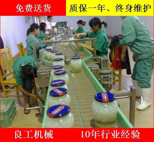 廠家直銷柔性防滑鏈板輸送帶機器 塑料塑鋼鏈板傳送機