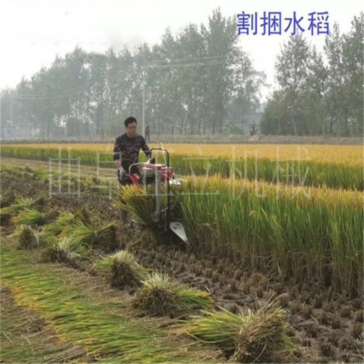 山地丘陵種植水稻大豆板藍(lán)根苜蓿草收割晾曬機(jī) 高速