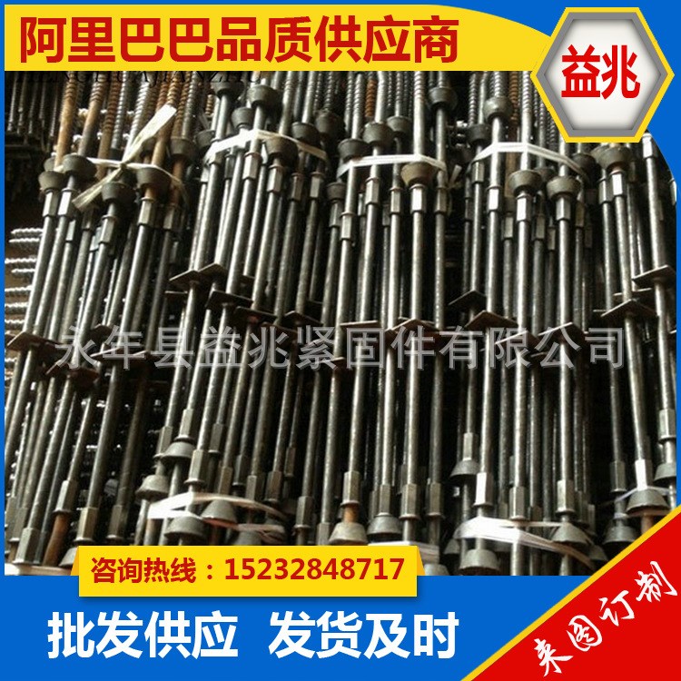 廠供建筑穿墻絲桿 非標螺絲 梯形全扣絲