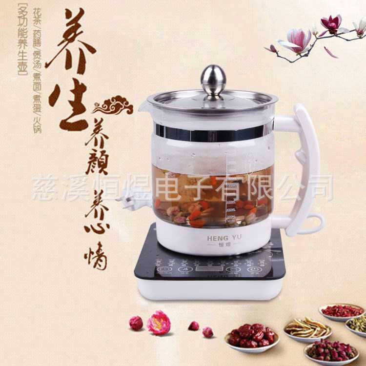 供應(yīng)玻璃煎藥壺 多功能煎藥壺 煎藥壺供應(yīng)
