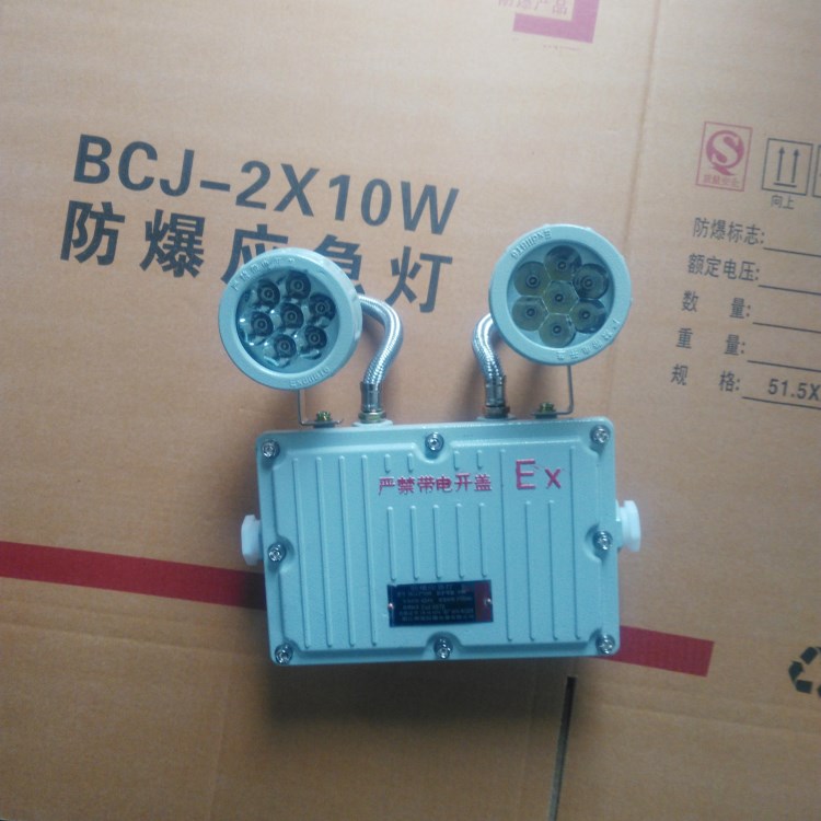 防爆雙頭應(yīng)急燈 BJC-2*10W  2*20W  LED光源 消防應(yīng)急燈