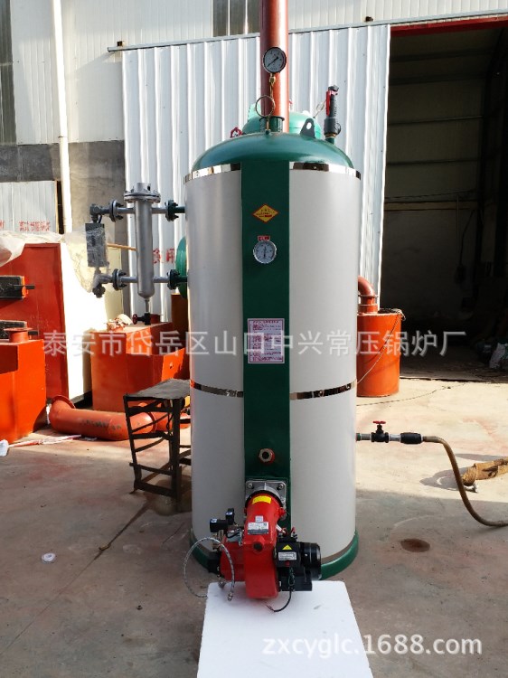 西安青海蘭州寧夏液化氣蒸饅頭鍋爐廠家 燃?xì)庹舳垢艟棋仩t價(jià)格