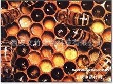 蜂膠提取物98%  蜂膠黃酮 水溶性蜂膠提取物 1Kg起訂