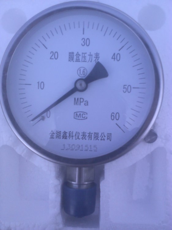 YE-100膜盒壓力表/不銹鋼膜盒壓力表