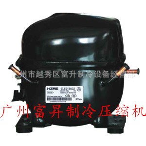 R22雪種中冷中溫冷藏機組壓縮機ZLE6210GE