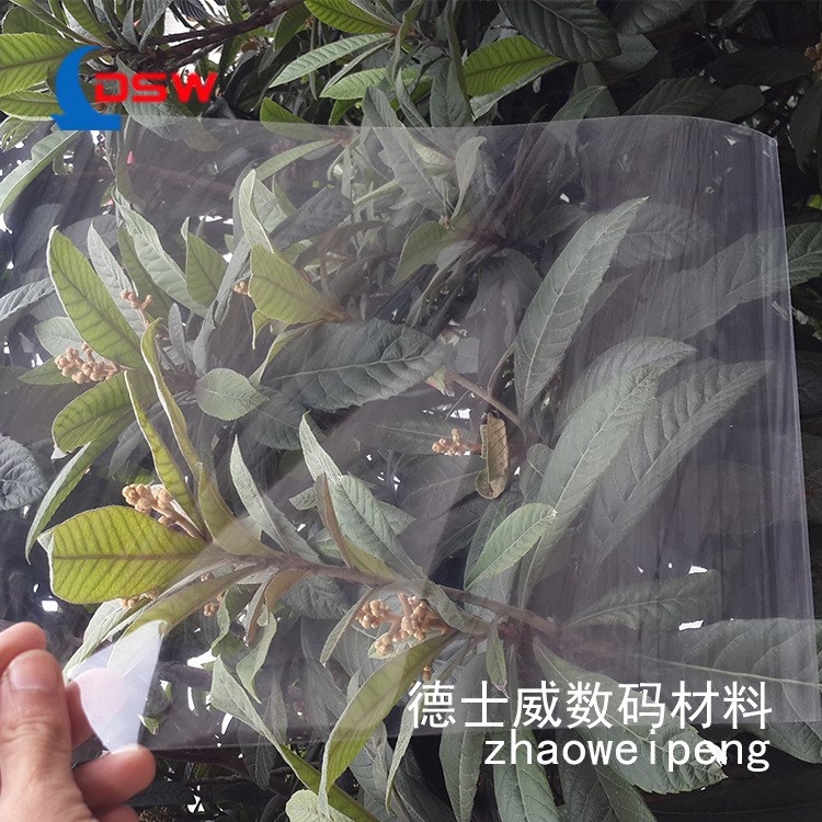 片裝310*610制版膠片批發(fā) 弱溶劑噴墨制版膠片 數(shù)碼輸出菲林片