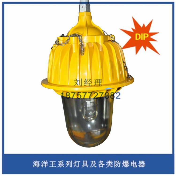 海洋BFC8930粉塵內場防爆燈 防塵防水防震燈 化工廠照明燈