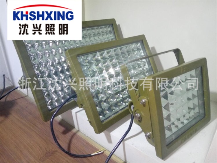 防爆燈LED100W 燈具防爆 化工廠用燈具 多顆粒LED防爆燈