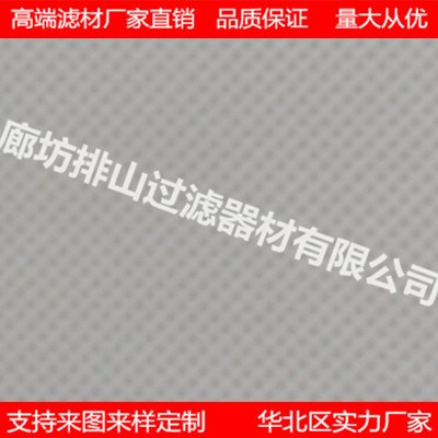 荐厂家直销覆膜聚酯纤维滤布覆PTFE膜滤布加工定制除尘滤筒滤芯