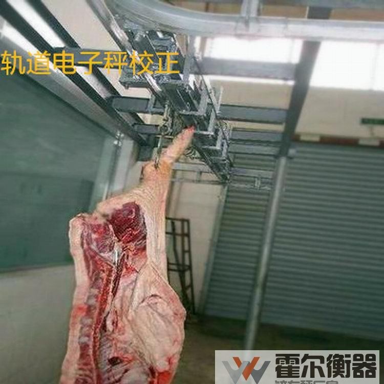 江蘇屠宰軌道電子秤南京軌道衡器廠家泰州屠宰電子秤淮安揚州衡器