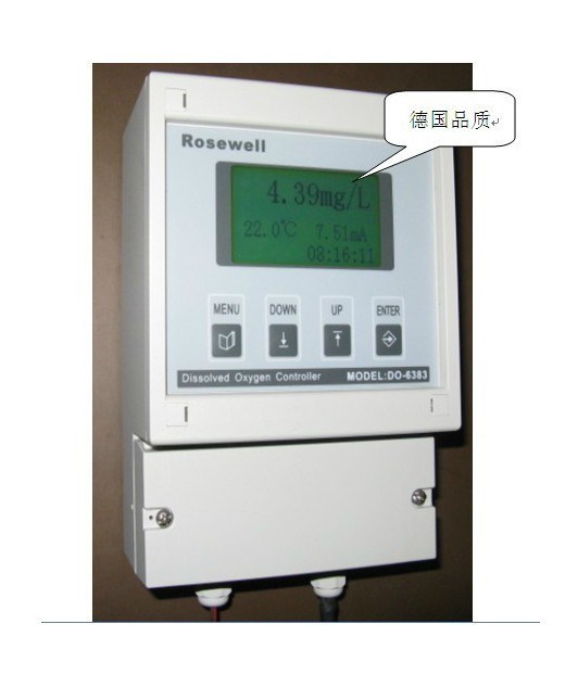 DO-6383型 工業在線溶氧儀--廠家直銷！