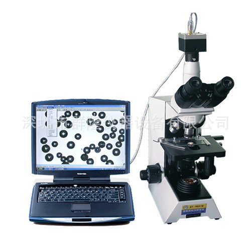 BT-1600圖像顆粒分析系統(tǒng)  智能圖像密度檢測儀器