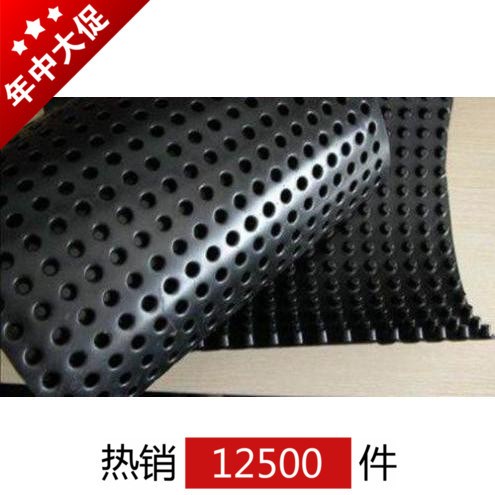 山東廠家生產排水板 垃圾填埋場地下水與地表水導排專用 詳情電話