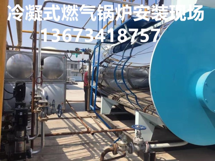 海南三亞蒸汽鍋爐廠家/海南三亞檳榔烘干專用燃氣蒸汽鍋爐價錢