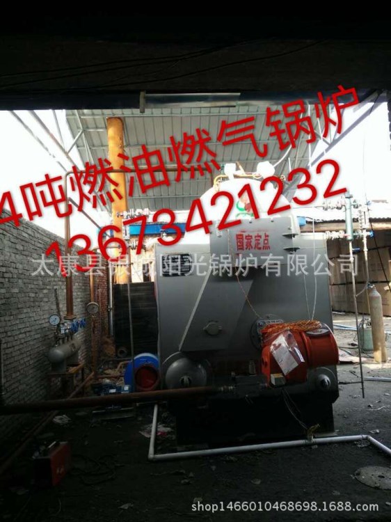 廠家直銷福建燃?xì)忮仩t 福建燃?xì)庹羝仩t 福建天然氣蒸汽鍋爐