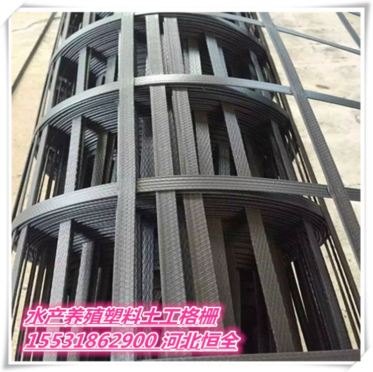 廣東惠州修道修路加固塑料格柵|魚蝦混養(yǎng)格柵單價建筑工地鋪路柵