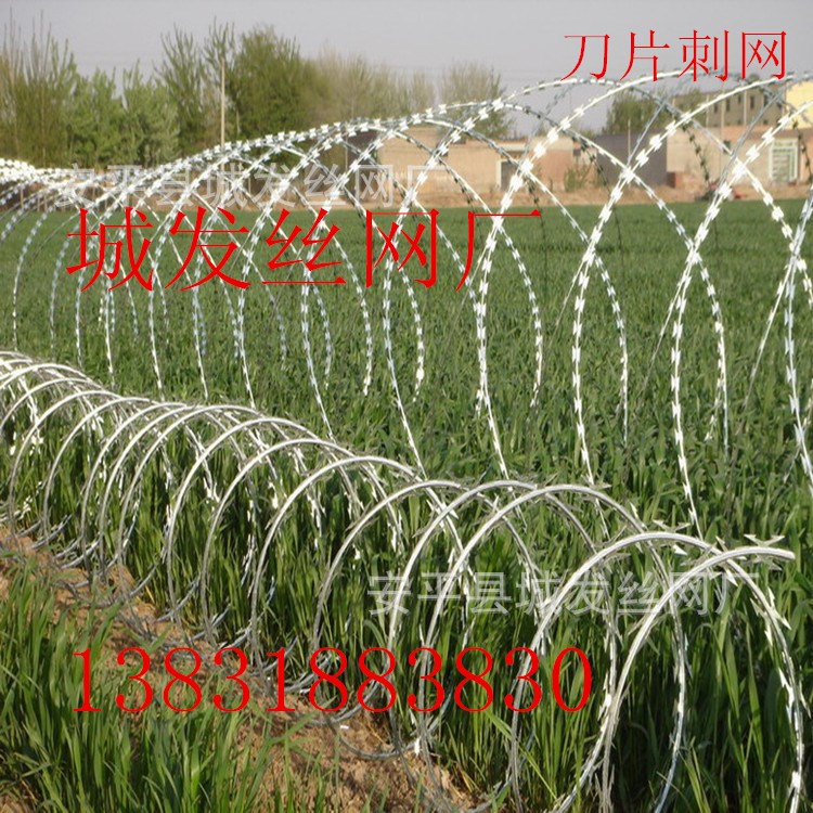 供應(yīng)螺旋蛇腹刀片刺絲不銹鋼304刀片刺繩鍍鋅板刀片刺網(wǎng)質(zhì)量