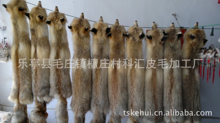 熟皮，加工定做各種狐貍，貂皮，貉皮等圍脖13363258178